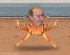 Путин спешит на помощь (funny  ха ха президент картинка  putin crabe)