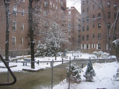 Yaha! Снег и настоящий!